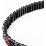 JT Chain Řemen JTB4206 | Zboží Auto