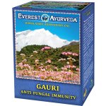 Everest Ayurveda GAURI Kandidóza a kožní plísně 100 g – Hledejceny.cz