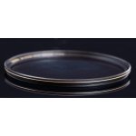 VFFOTO UV GS 77mm – Sleviste.cz