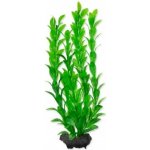 Tetra Hygrophila M 23 cm – Zboží Mobilmania