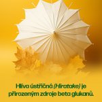 Walmark Tablety Hlíva ústřičná Plus 90 tablet – Hledejceny.cz