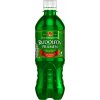 Mariánskolázeňský Rudolfův pramen 500 ml