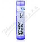 PHYTOLACCA DECANDRA POR 30CH GRA 4G – Hledejceny.cz