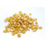 Les Fruits du Paradis Kukuřice na popcorn BIO 5 kg – Zboží Dáma