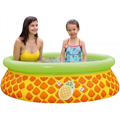 SunClub 17790 ananas 150 x 41 cm – Zboží Mobilmania