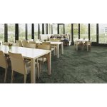 Forbo Flotex Planks Montage Boreal 147001 2.50 m²