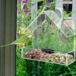 Deminas krmítko pro ptáky na okno a balkon DS48521732 – Zboží Dáma