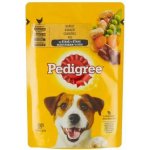 Pedigree Adult kuře zelenina 100 g – Hledejceny.cz