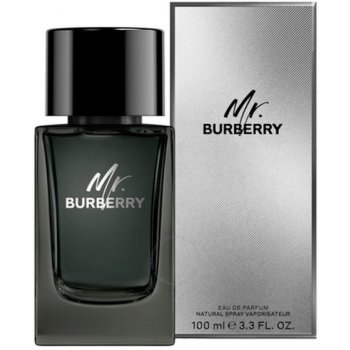 Burberry Mr. Burberry parfémovaná voda pánská 100 ml