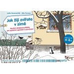 Jak žijí zvířata v zimě - Naučné obrázkové příběhy pro společné vyprávění a poznávání - kolektiv – Hledejceny.cz