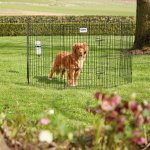 Savic Ohrádka - Dog Park 2 – Hledejceny.cz