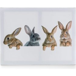 HOME DECOR Obraz 4x RABBIT 40 x 30 x 2 cm