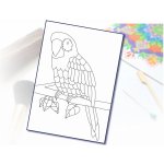 Radost v písku Šablona na pískování papoušek A4 210 x 297 mm – Hledejceny.cz