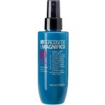 Intercosmo intenzivní maska na vlasy ve spreji IL Magnifico 10 Multibenefits Maschera Spray Intensiva 150 ml – Zbozi.Blesk.cz