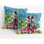 Matějovský Krtek v autě 40 x 40 cm – Sleviste.cz