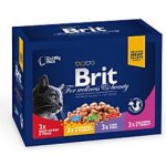 Brit Premium Cat Family Plate 12 x 100 g – Sleviste.cz