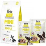 Brit Care Mini Grain-free Adult Lamb 2 kg – Zbozi.Blesk.cz