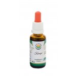 Salvia Paradise Konopí CBD Cannabis sativa AF tinktura 30 ml – Zbozi.Blesk.cz