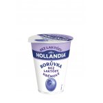 Hollandia Bez laktózy Krémový jogurt borůvka 180 g – Zboží Dáma