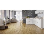 Barlinek Molti Dub Askania 3WG000311 1 m² – Hledejceny.cz