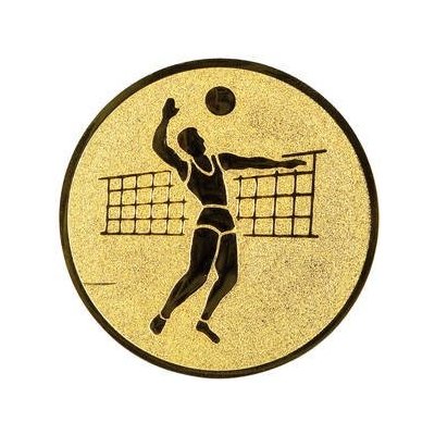 Emblém volejbalista 2,5cm – Zboží Dáma