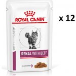 Royal Canin VD Cat Renal Beef 12 x 85 g – Sleviste.cz