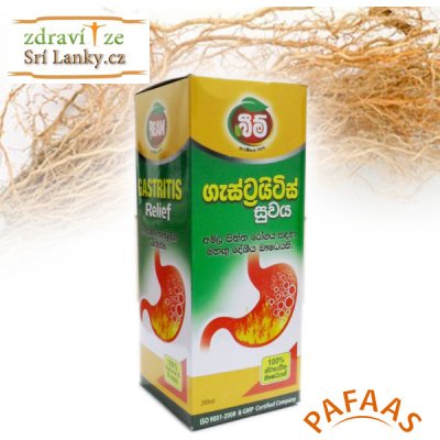 Beam Gastritis Relief sirup proti nevolnosti 200 ml – Hledejceny.cz