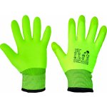 CERVA TURTUR – HobbyKompas.cz