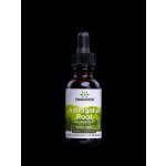Swanson Astragalus Root Tekutý Extrakt Kozinec 29,6 ml – Hledejceny.cz