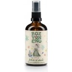 Rozvoněno Klid v duši přírodní osvěžovač vzduchu s levandulí a pačuli 100 ml – Hledejceny.cz