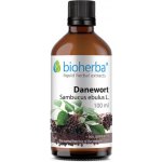 Bioherba Přírodní tinktura z černého bezu 100 ml – Hledejceny.cz