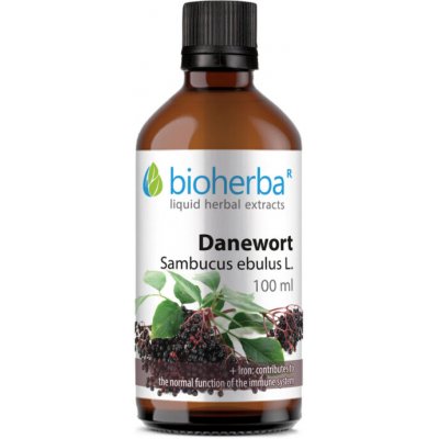 Bioherba Přírodní tinktura z černého bezu 100 ml – Hledejceny.cz