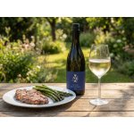 Vinařství Váca Sauvignon suché bílé 2024 13% 0,75 l (holá láhev) – Hledejceny.cz