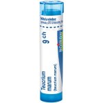 TEUCRIUM MARUM POR 9CH GRA 1X4G – Hledejceny.cz