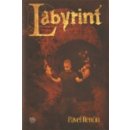 Labyrint - Pavel Renčín