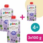 Salvest Põnn Bio Jablko s borůvkami 100 g – Zboží Dáma