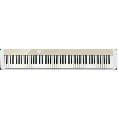 Casio PX S1100 – Hledejceny.cz