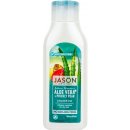 Jason šampon Aloe Vera 473 ml