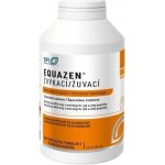 Equazen 360 žvýkacích kapslí jahodová příchuť – Hledejceny.cz