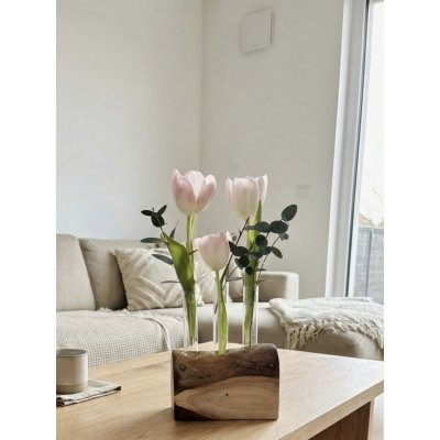 BotaneryLab LIGNUM – designový ořechový stojan na rostliny a aranžmá WoodenBotanery – Hledejceny.cz