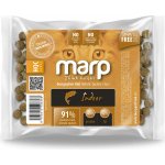 Marp Holistic Indoor Cat pro dospělé a starší kočky 70 g – Hledejceny.cz