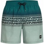 O'Neill Logo stripe 16'' tmavě zelené světle zelené – Sleviste.cz