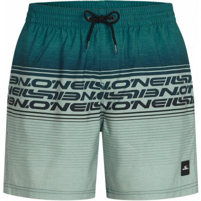 O'Neill Logo stripe 16'' tmavě zelené světle zelené – Sleviste.cz