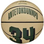 Wilson NBA Player Icon Giannis Antetokounmpo – Zboží Mobilmania