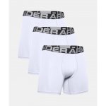 Under Armour UA Charged Cotton 6in 3Pack – Zbozi.Blesk.cz