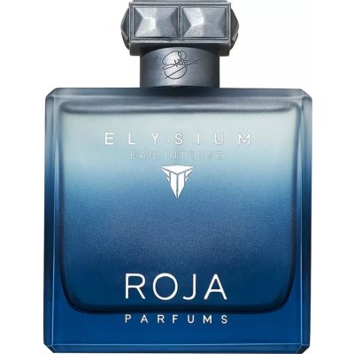 Roja Parfums Elysium parfémovaná voda pánská 100 ml – Sleviste.cz