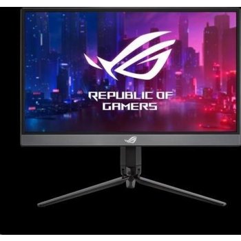 Asus XG17AHP