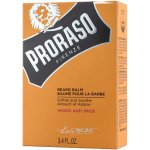 Proraso Wood & Spice balzám na vousy 100 ml – Zboží Dáma