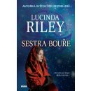 Sestra bouře – rodinná sága Sedm sester 2 - Riley Lucinda