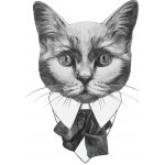 Transferový obrázek na textil Cadence, 21x30 cm - Kočka – Zboží Dáma